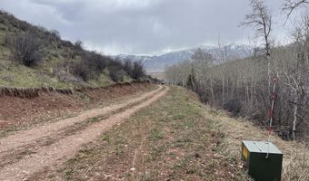 777 RICHARDSON CREEK Rd, Afton, WY 83110