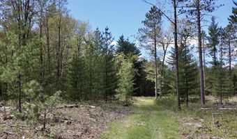 5826 S Morrison Rd, Alger, MI 48610