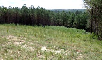 Adams Road, Bankston, AL 35542