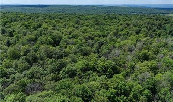 9085 Old State Rd, Angelica, NY 14709