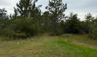 4539 NW Miller/White LN Rd, Altha, FL 32421