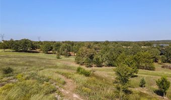 110 Pringle Ct, Alvord, TX 76225