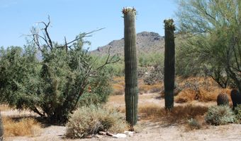 35407 N 54TH St, Cave Creek, AZ 85331