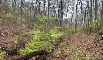 3 Salem Ridge Rd, Aurora, IN 47001