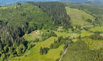 69931 Fishhawk Rd, Birkenfeld, OR 97016