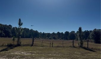 353 Wilder Rd, Allenhurst, GA 31301