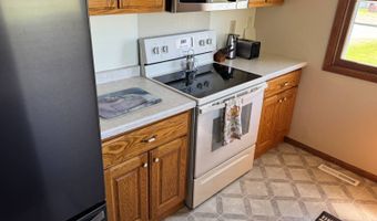 22532 330th Ave, Badger, MN 56714