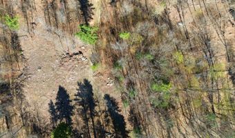 Pierce Lake Road lot 0-1-2, Antrim, NH 03440