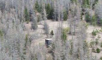 5280 Cathro Rd, Alpena, MI 49707