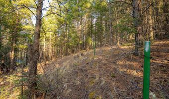 El Camino Real lot 35, Angel Fire, NM 87710