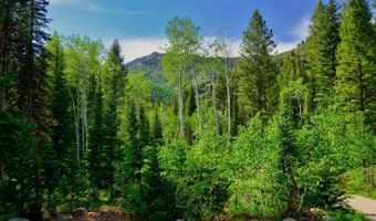 9380 E Kessler Ln, Brighton, UT 84121