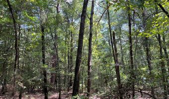 TBD County Road 40, Abbeville, AL 36310