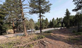 Luna lot 1581, Angel Fire, NM 87710