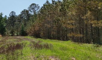 Rutherford Road, Batesville, MS 38606