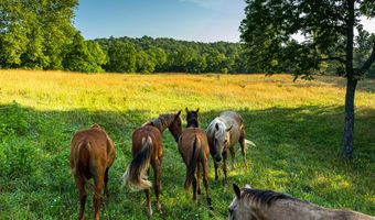 6152 County Road O-527, Ava, MO 65608