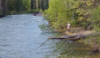 22585 Fatty Creek Rd, Bigfork, MT 59911