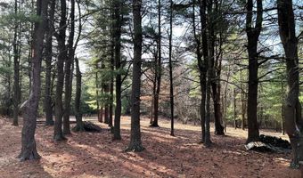 385 ELK CREEK Rd, Aaronsburg, PA 16820