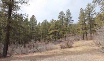 31861 E Highway 160, Bayfield, CO 81122