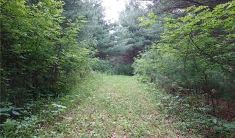 6 Xx US Highway 8, Apple River, WI 54001