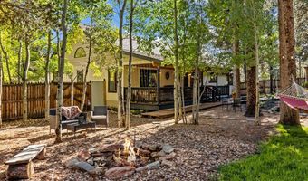 11982 Peak To Peak Dr, Allenspark, CO 80510