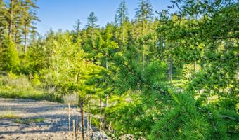 62 Trails End Ct, Bigfork, MT 59911