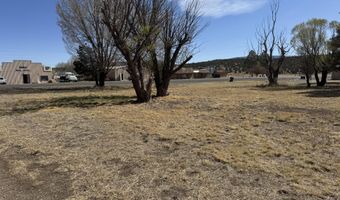 302 Smokey Bear Blvd, Capitan, NM 88316