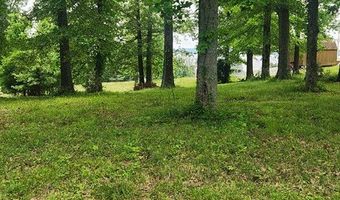 Overlook Ridge, Big Sandy, TN 38221