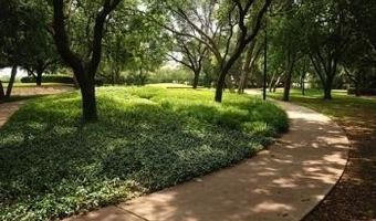 3942 Sugar Tree Way, Addison, TX 75001