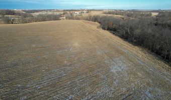 710 Th Ave, Albia, IA 52531