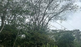 14 Th Ave, Keaau, HI 96749