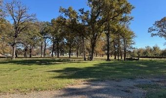 290 County Road 1513, Alba, TX 75410