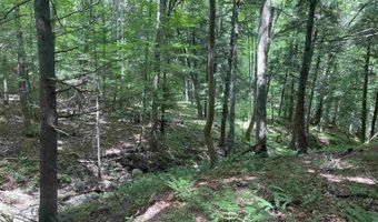 101 Jug Brook Rd, Cabot, VT 05647