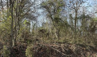 41 Belle Point Rd, Beattyville, KY 41311