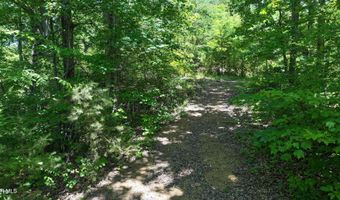 1475 Davis Valley Rd, Afton, TN 37616