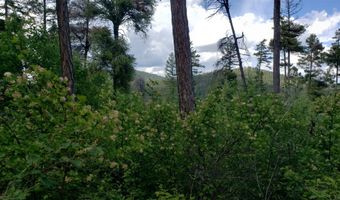 Arlee Pines lot 21, Arlee, MT 59821