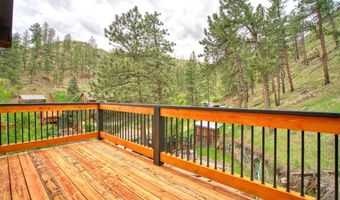 57 Falls Creek Dr, Bellvue, CO 80512