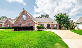 704 Tortoise Rdg, Brandon, MS 39047