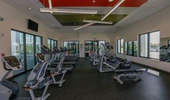 6507 MAIDEN SEA Dr, Apollo Beach, FL 33572