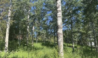 L22 CARIBOU FOREST DRIVE, Alpine, WY 83128
