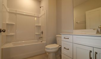 2813 Carbondale Ct, Apex, NC 27502