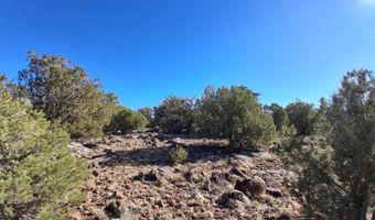 5 N8716, Concho, AZ 85924