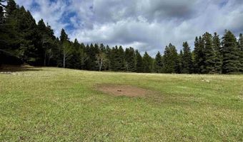 15098 CR 240, Bayfield, CO 81122