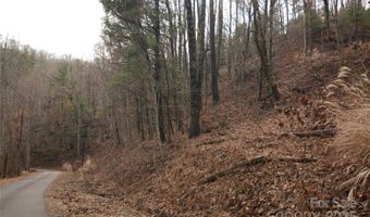 Green Ridge Falls Road, Barnardsville, NC 28709