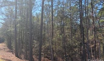 12 68 Acre 99 Rd, Blair, SC 29015