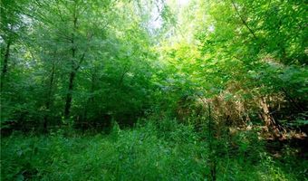 Todd Road, Advance, NC 27006