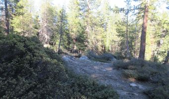 175 Silver Tip Dr, Bear Valley, CA 95223