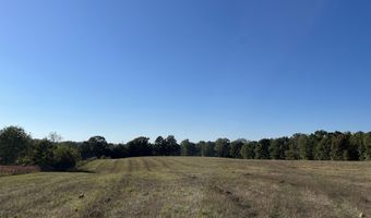 County Road 113, Alton, MO 65606