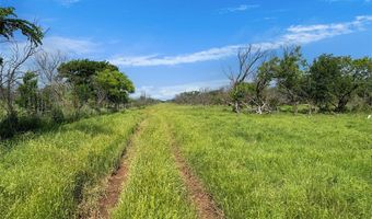 1678 Buerger, Archer City, TX 76351