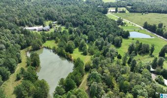 3941 SHOAL CREEK Rd, Ashville, AL 35953