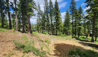 350 Snowshoe Rd, Bear Valley, CA 95223